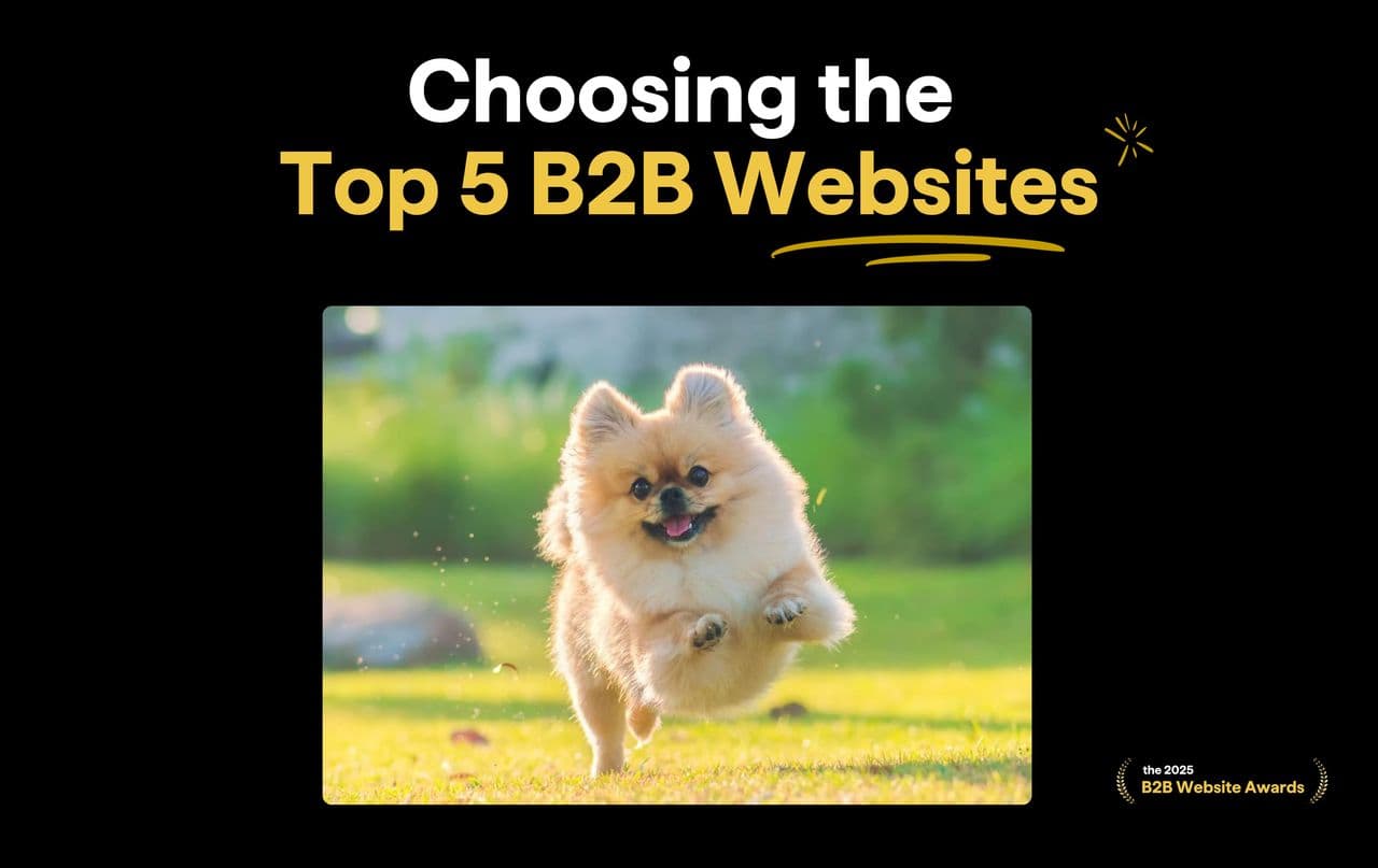 we-are-about-to-choose-the-top-5-b2b-websites-in-the-world-hero
